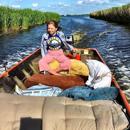 Juffertje In Het Groen Driehuizen