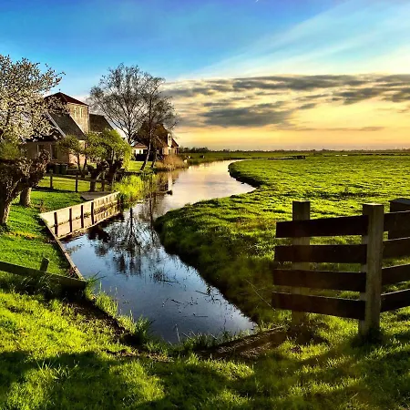 Juffertje In Het Groen
