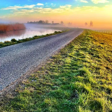 Juffertje In Het Groen