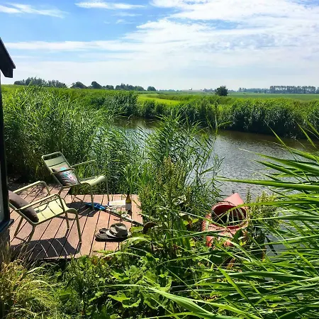 Juffertje In Het Groen