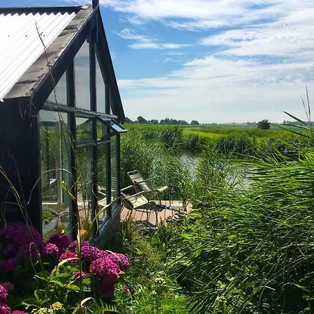 Juffertje In Het Groen