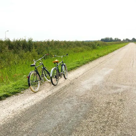 Juffertje In Het Groen *