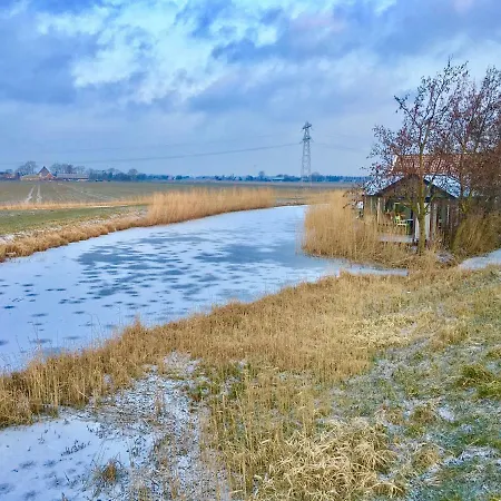 Juffertje In Het Groen